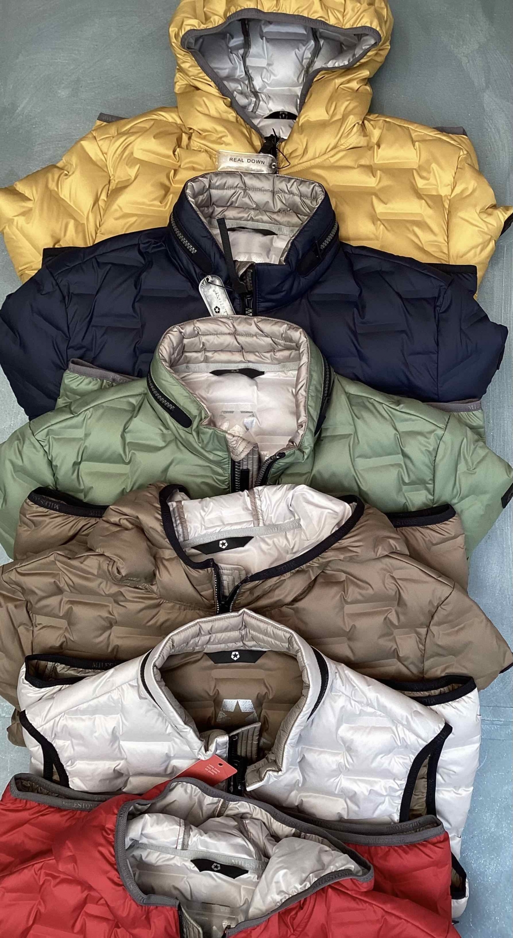 MST S23E CARSON SALINO colori2